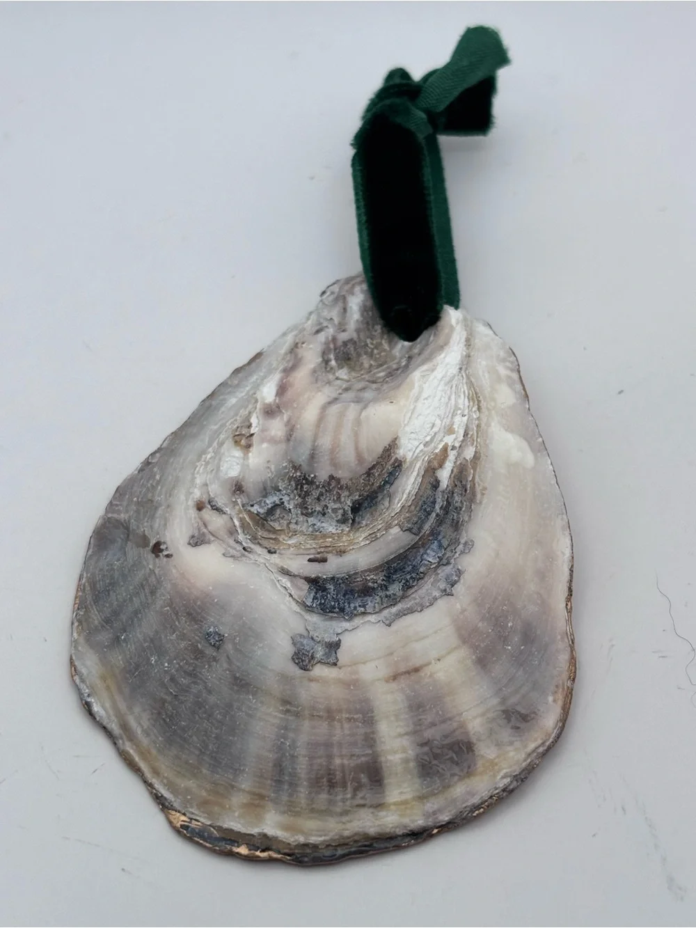 Holiday Oyster Shell Dog Ornament - Green Scarf Design